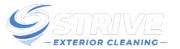 strive logo clean